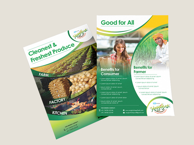 Flyers and  Brochure